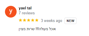Review Yael T Google Desktop